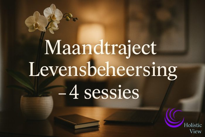 Maand- en levensbeheersingstraject bij Holistic View